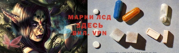 стафф Аркадак
