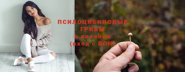 стафф Аркадак