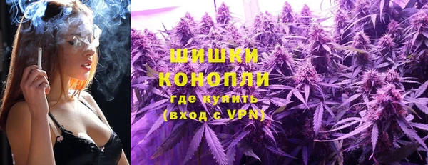 ешки Арсеньев