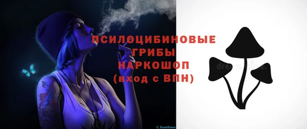 ешки Арсеньев