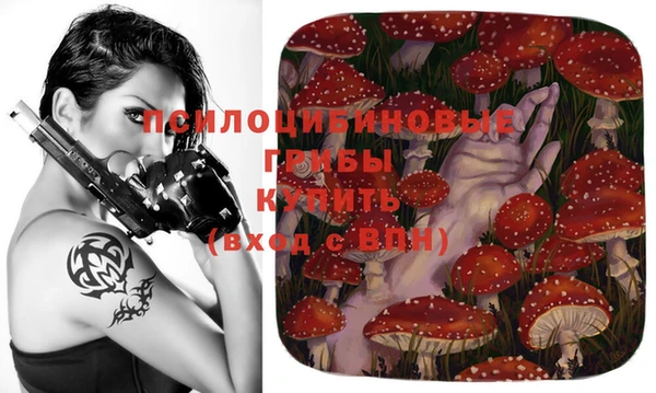 ешки Арсеньев