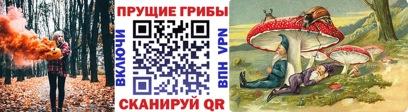Галлюциногенные грибы GOLDEN TEACHER  цена наркотик  Талица 